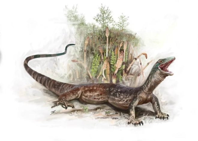 Dinosaurus Hibrida Ular dan Kadal Ditemukan, Ini Penampakannya