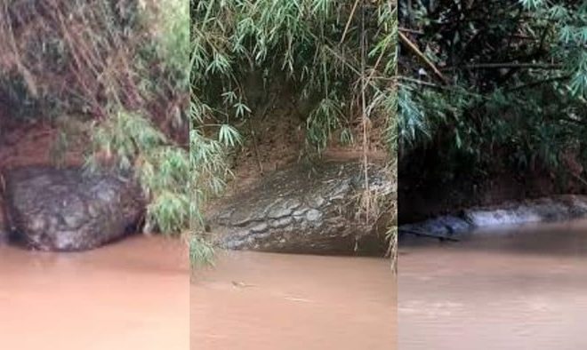Batu Berbentuk Ular Raksasa Muncul di Sungai Lagi-lagi