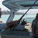 GTA 6 Memperkenalkan 170 Satwa Liar Termasuk Hewan Baru yang Belum Pernah Muncul